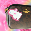 Pastel Kawaii Bunny Bag Charm