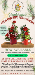 Custom Business Ad Page Design