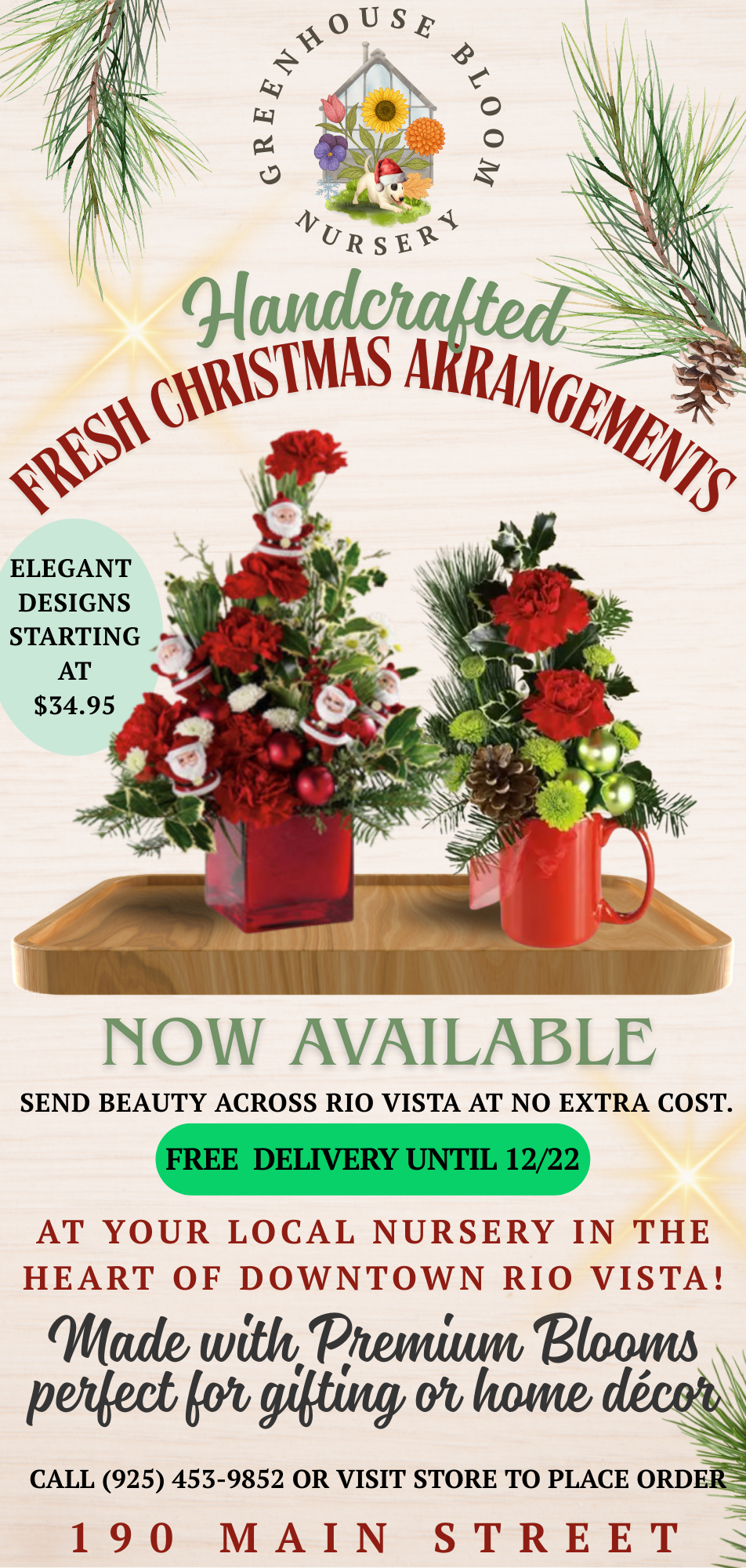 Custom Business Ad Page Design