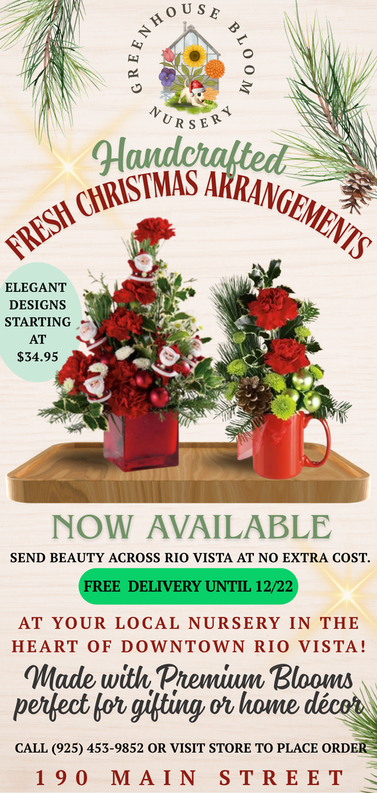 Custom Business Ad Page Design