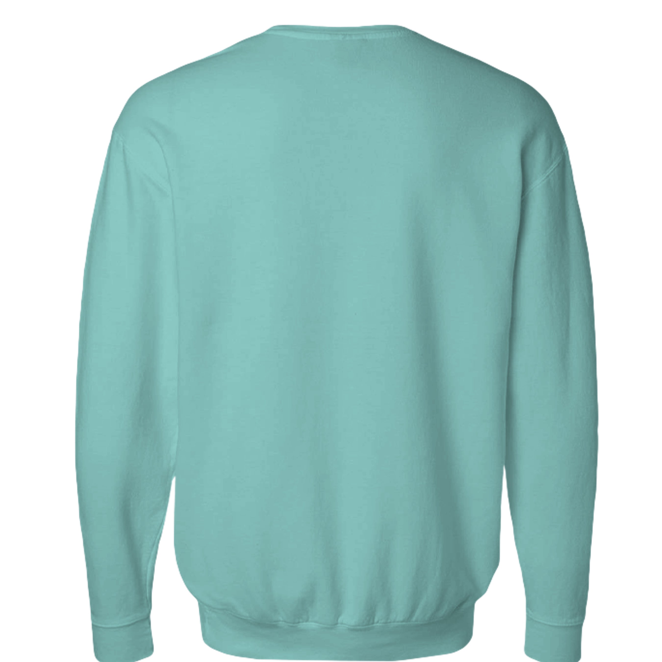 CHALKY MINT - 1466CC - BACK