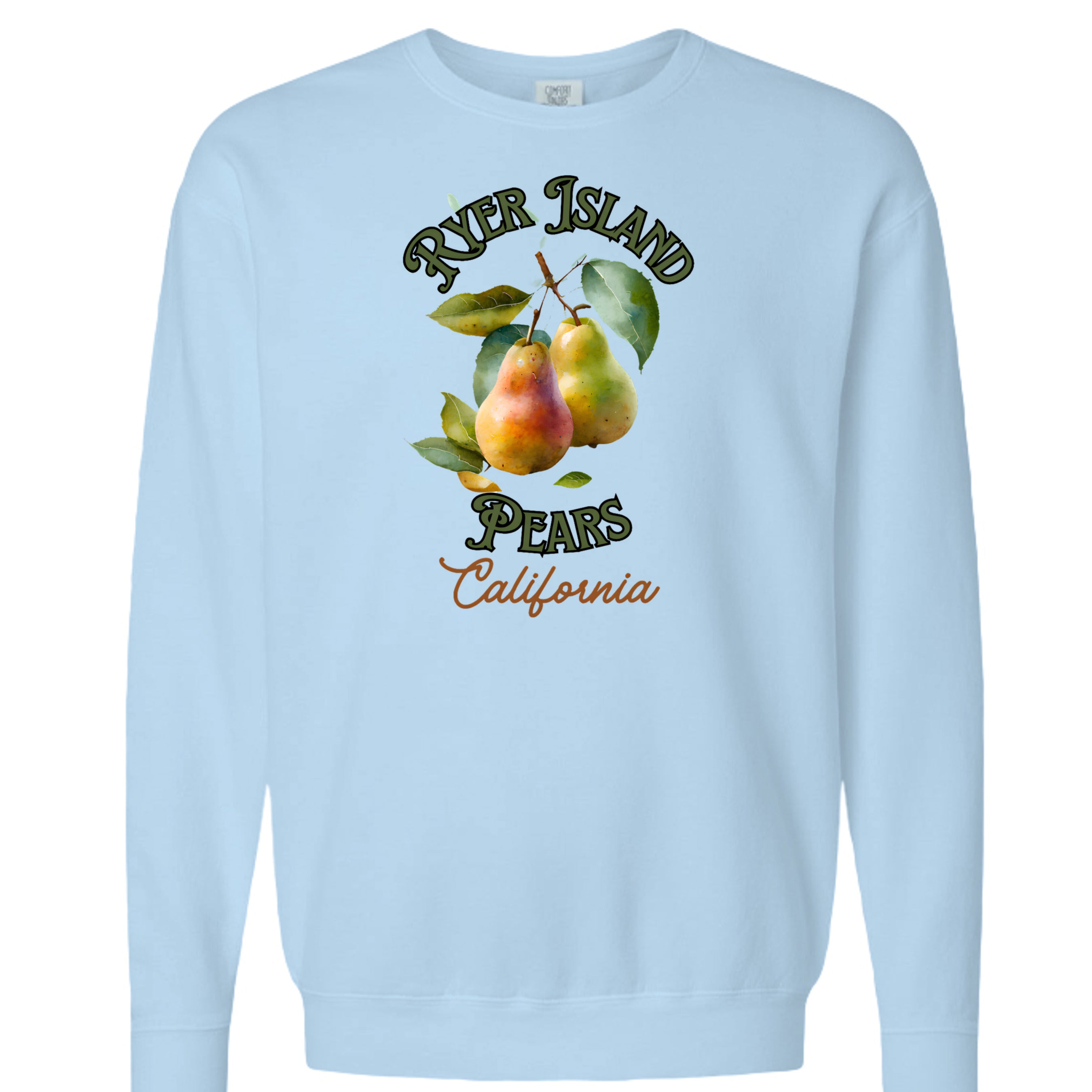 Hydrangea - 1466CC - FRONT