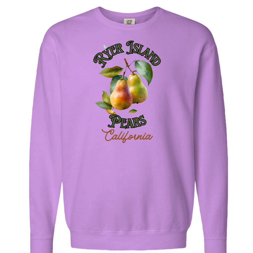 Neon Violet - 1466CC - FRONT