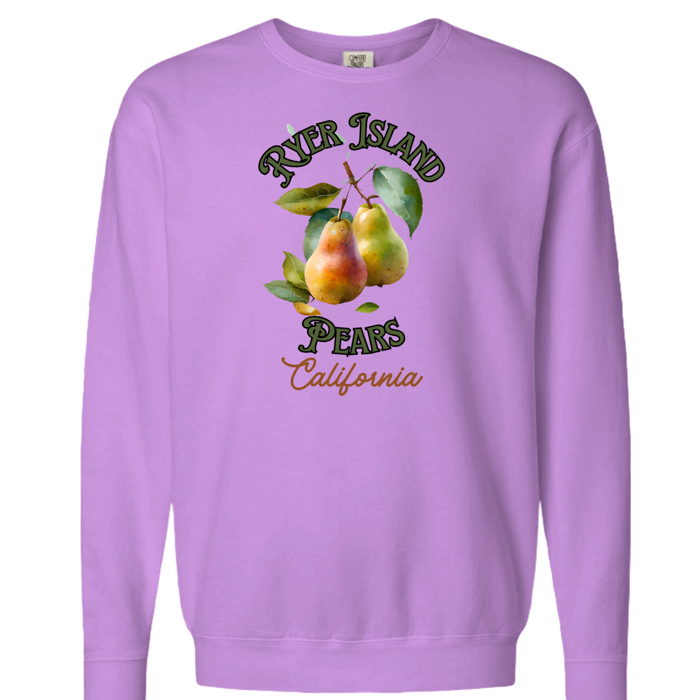 Neon Violet - 1466CC - FRONT